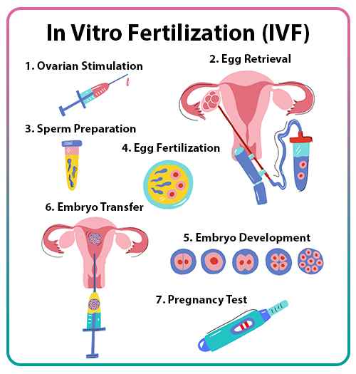 IVF