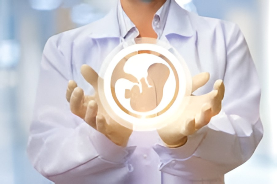 fertility